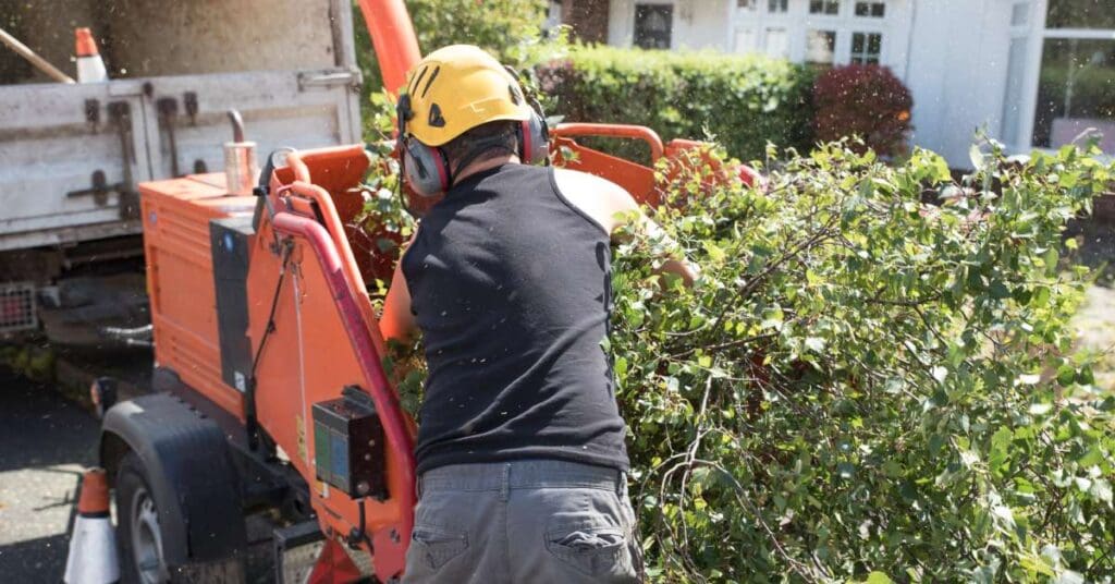 A worker with ear protection loads a tree branch into the back of an industrial wood chipping machine.